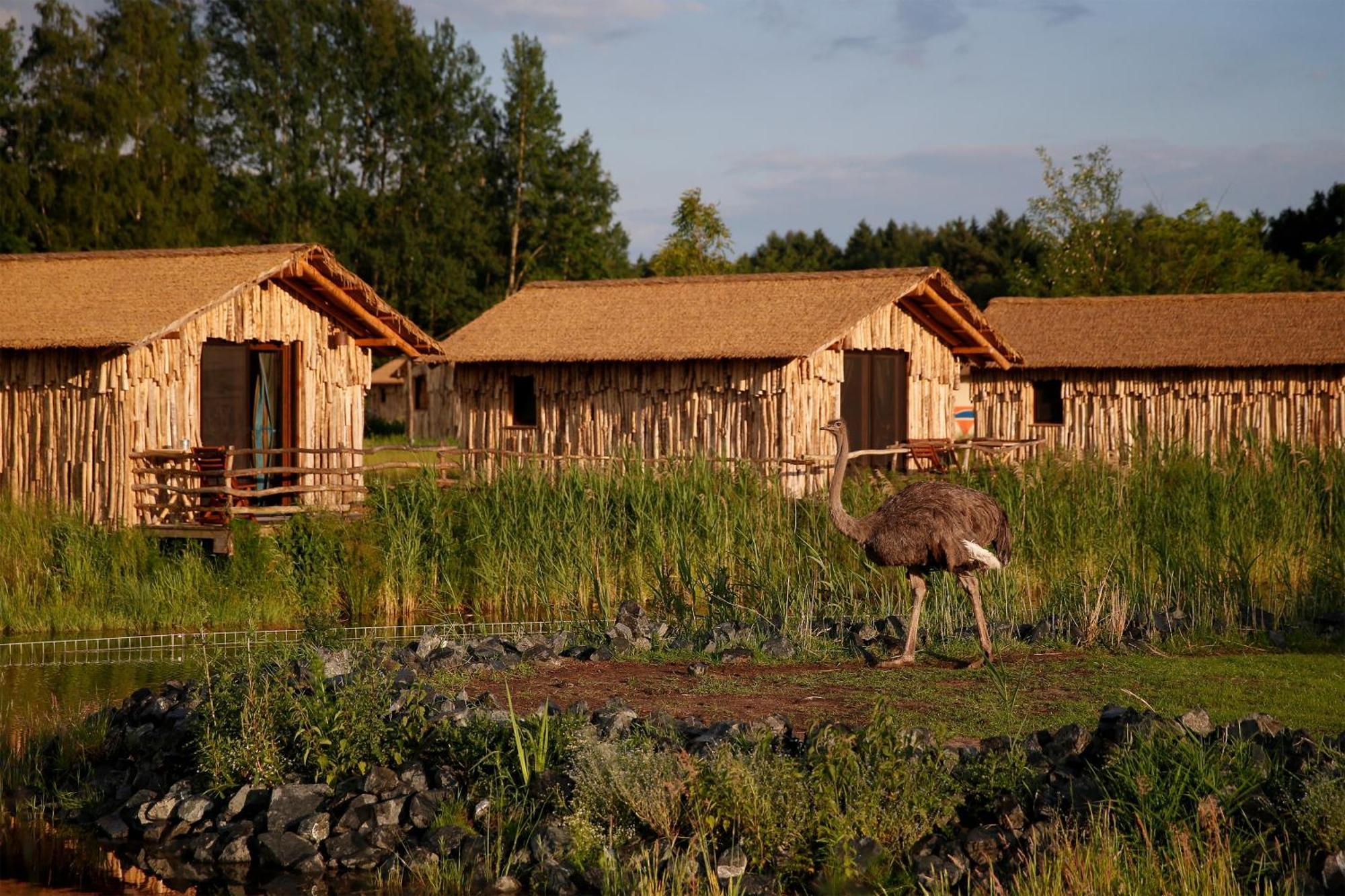 Serengeti Park Resort Hodenhagen Exterior photo